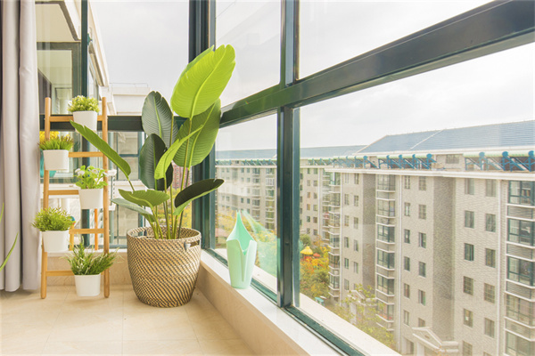 阳台花架怎么选？有关室内植物花架的小知识。