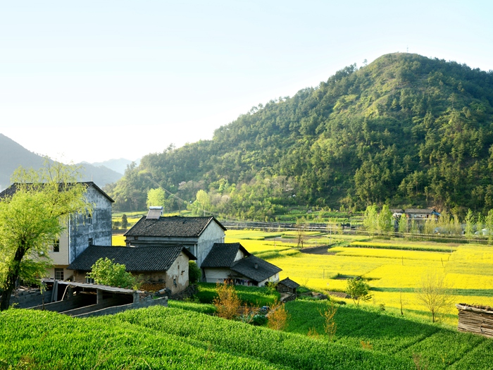 农村自建房装修步骤有哪些？自建房装修注意事项