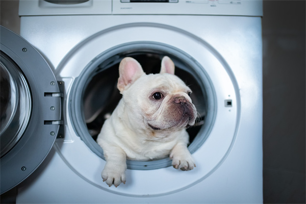 统帅洗衣机报价明细，统帅洗衣机怎么做清洗？