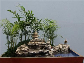 假山小盆景  假山盆景制作视频过程