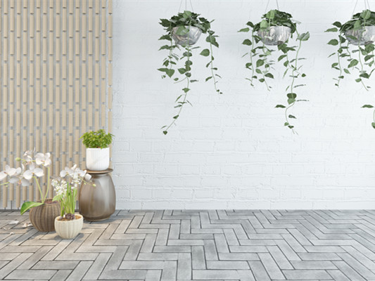 室内好养的植物有什么？室内养护植物有什么注意事项？