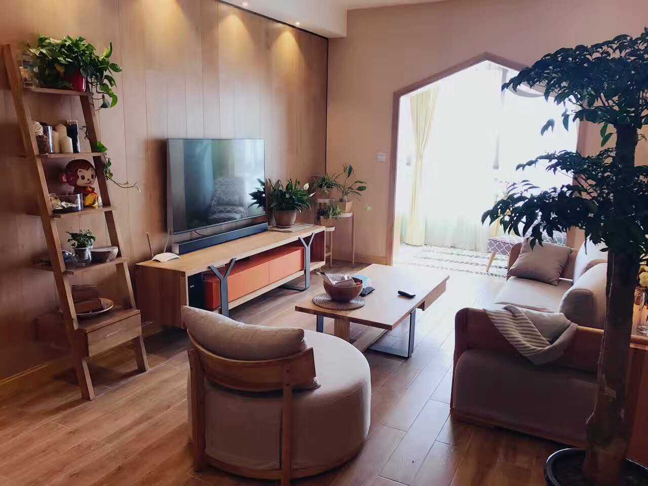 客厅植物搭配技巧及摆放效果图指南