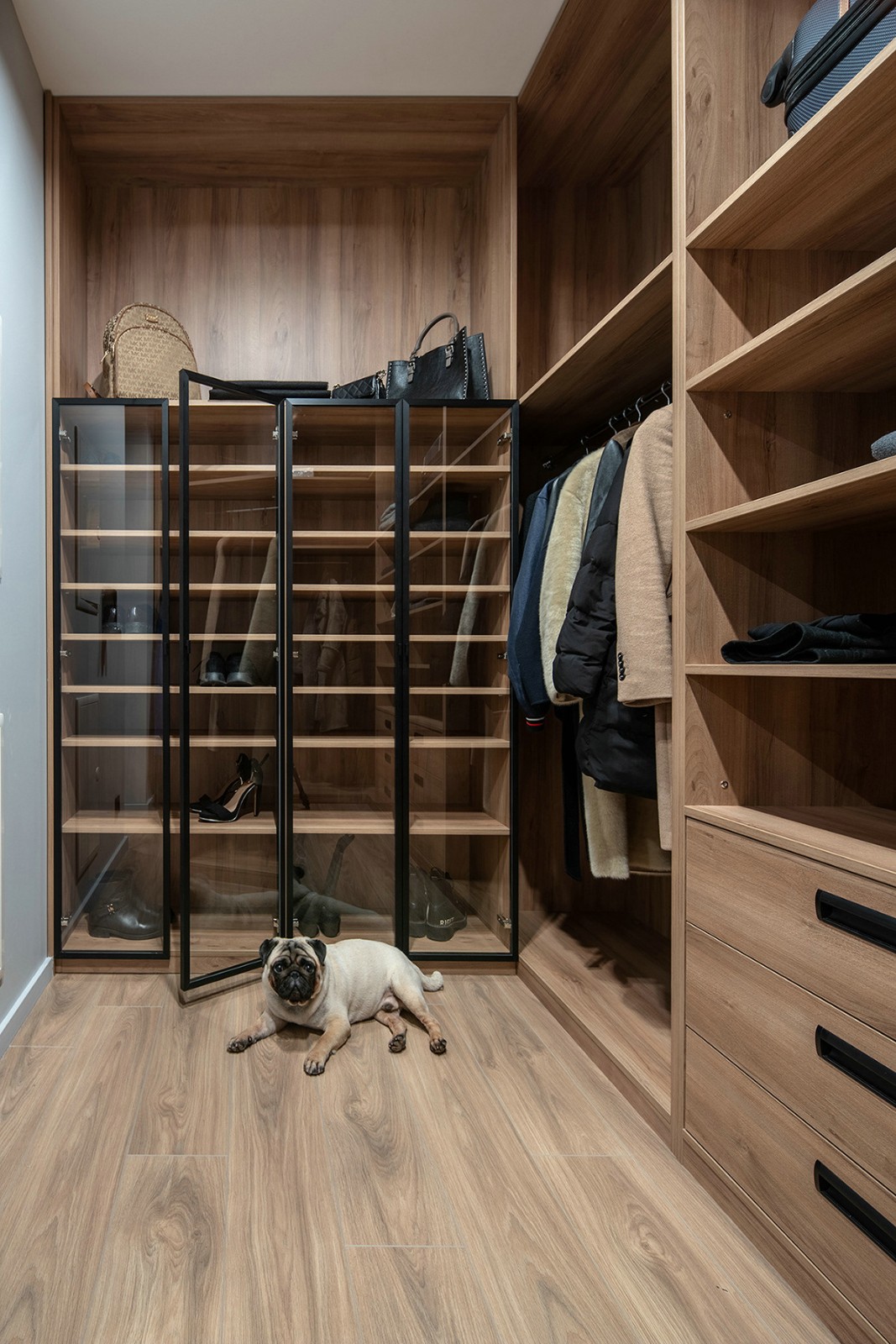 自行车棚设计效果图大全，提升空间实用性与美观度