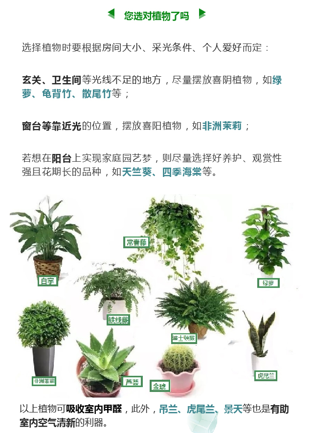 长方形花池设计：打造庭院独特景观