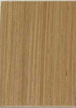 靠墙静蹲一年效果图大揭秘