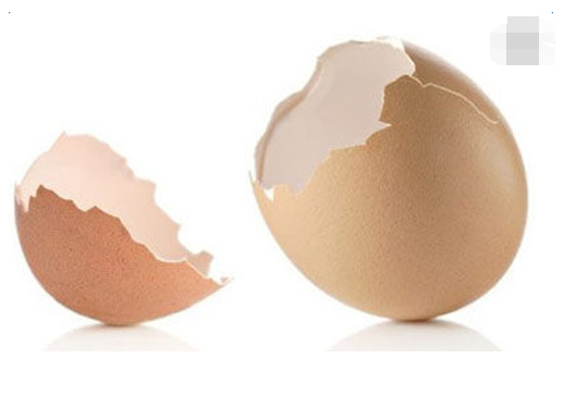 鸡蛋壳有什么作用  鸡蛋壳养花有什么作用