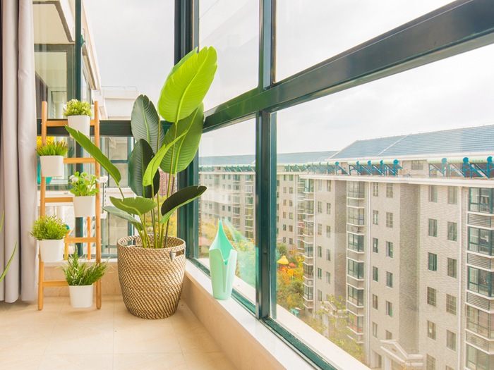 阳台设计与装修有哪些注意事项？阳台适合种植哪些植物？